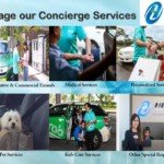 HDT Taxi Driver – babysitter, courier and pet transporter HDT Concierge service