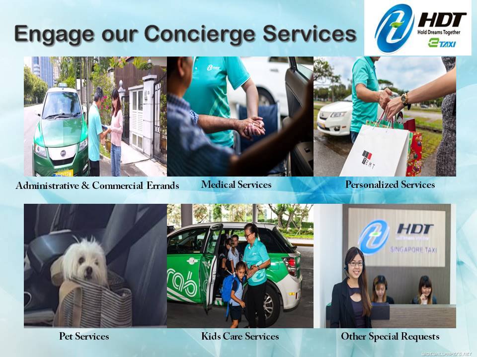 HDT Taxi Driver – babysitter, courier and pet transporter HDT Concierge service